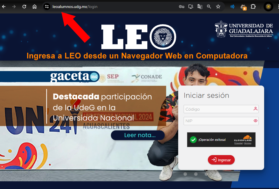 Ingreso a LEO - versión web