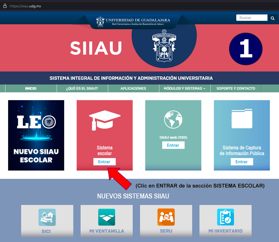 Registro de Materias en CUValles