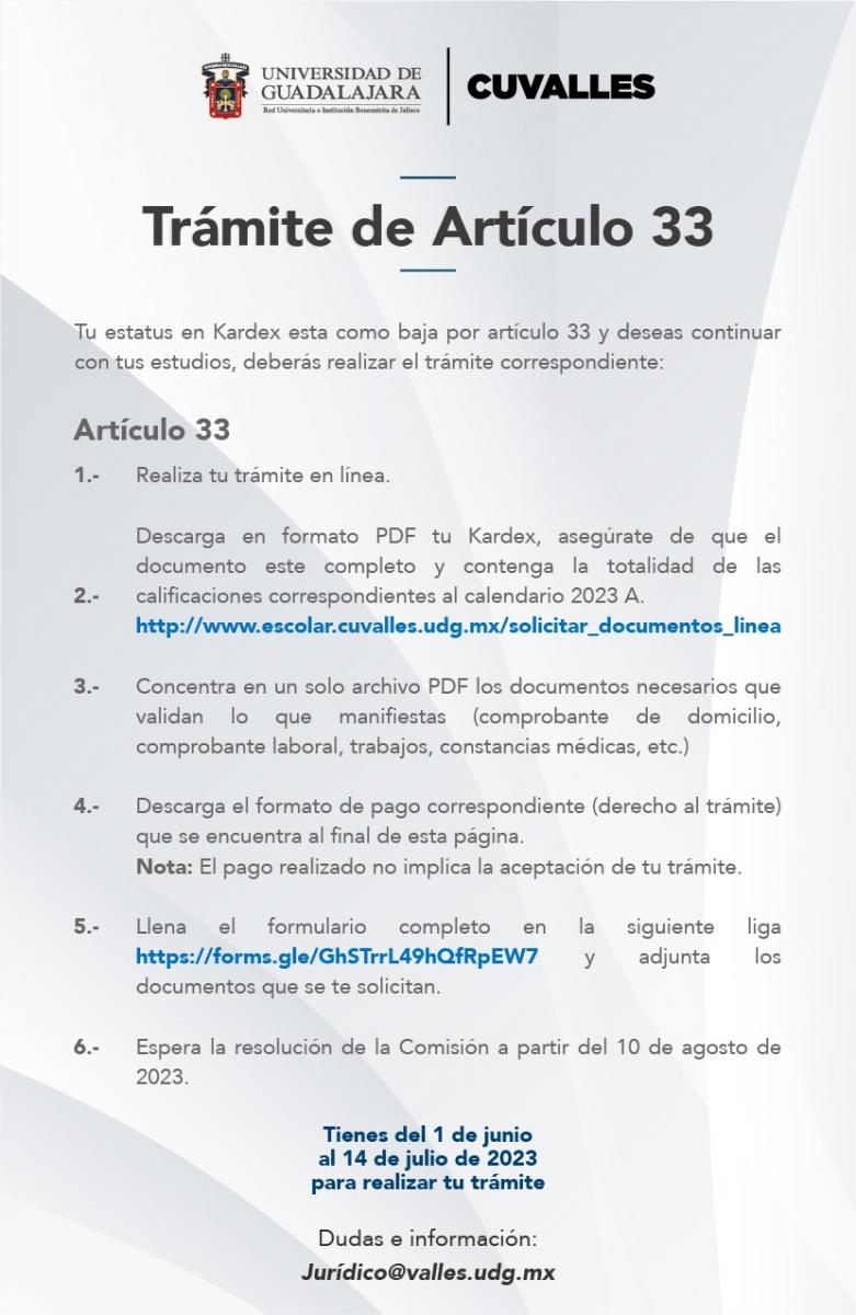 Artículo 33 - 2023b