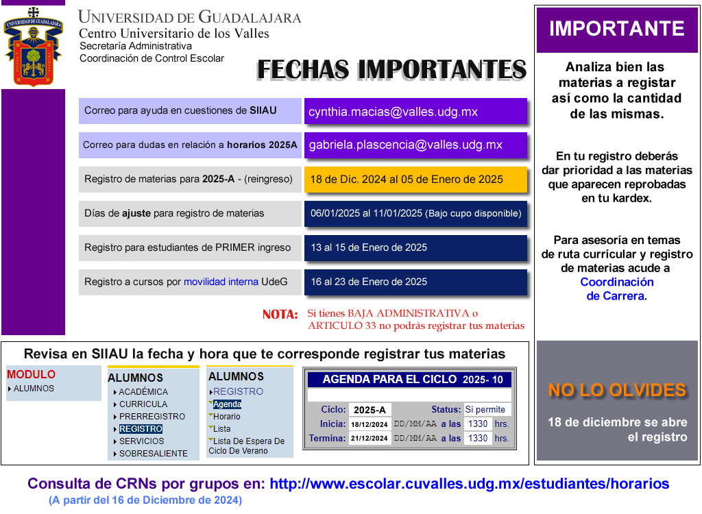 Registro de Materias 2025-A