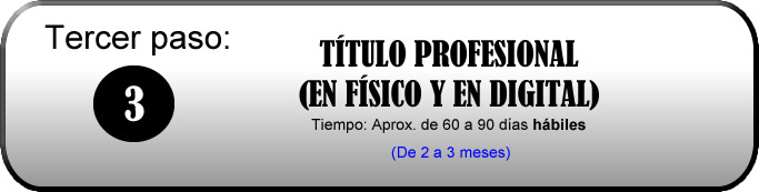 Titulo Profesional